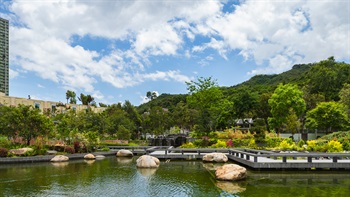 在曲折的混凝土板道上，可以從不同角度欣賞池塘景色。中式園景區外圍的植物，視覺上向背後的佛頭洲方向伸延。